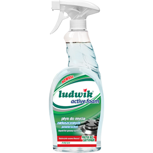 اسپری پاک کننده قوی سطوح چرب لودویک فرش 750 میل Ludwik Fresh plyn